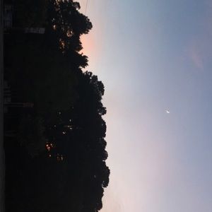 Meet your Posher, Alaina